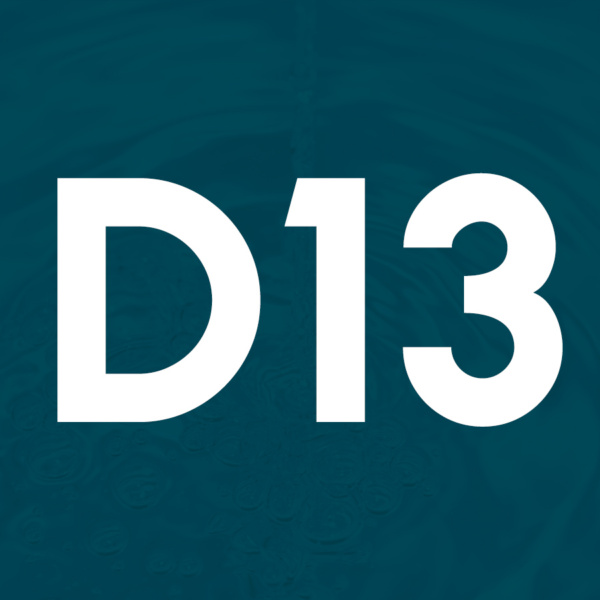 Tarif D13